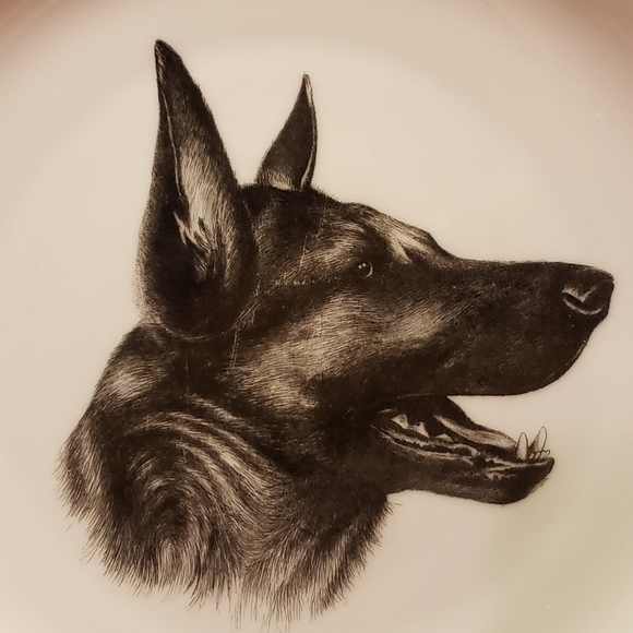 Zeh Scherzer Bavaria Germany Other - Vtg Plate Gold Trim German Shepherd Zeh Scherzer
